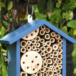 Handgemachte klassische Art natürliche hölzerne Bienen haus langlebige Garten im Freien Biene Hotel Karton abnehmbare wasch bare Marienkäfer Lace wings - Product Image 4