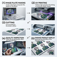 Los Mejores Stickers Lenticulares 3D de Anime, Lindos y Resistentes al Agua, para Coche, Laptop, Refrigerador, Zebulun DS-11