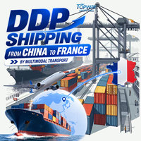 Shenzhen International : Tarifs les plus bas pour le fret France-Amérique, transport maritime LCL et camionnage vérifiés