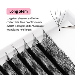 Extensions de <span class=keywords><strong>cils</strong></span> en forme de W en gros, <span class=keywords><strong>cils</strong></span> croisés <span class=keywords><strong>5D</strong></span> W Clover, plateaux de <span class=keywords><strong>cils</strong></span> à marque privée - Product Image 4