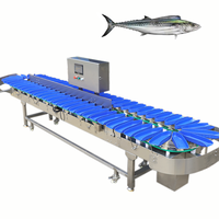Spaanse Makreel Clow Trepang Rivierkreeft Kreeft Vis Meerdere Niveaus Sorteermachine Oester Garnalen Gewichtssorteermachine Sensor PLC Core 1