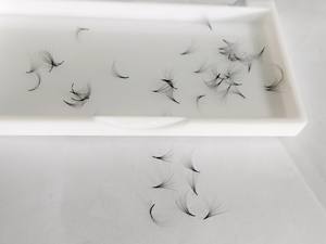 Venta al por mayor 8D 9D 10D coreano PBT Premade Fan Extensiones de pestañas con calor Bonded estrecha Base puntiaguda Fábrica hecha en Vietnam - Product Image 6