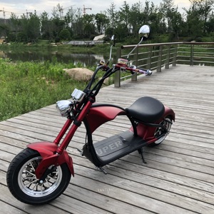 Scooter Eléctrico con Certificación EEC COC Emark, Disponible en Almacén Europeo, Bicicleta de Dos Ruedas Autoequilibrada para Adultos - Product Image 2