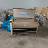 Tambour de nettoyage autonome en acier inoxydable haute performance pour le nettoyage et le décorticage des racines de manioc et des légumes-racines
