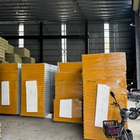 Papan Sandwich Baja Galvanis Berinsulasi Rock Wool, Papan Komposit Tahan Air, Tahan Api, Kedap Suara, Ramah Lingkungan, untuk Cold Room