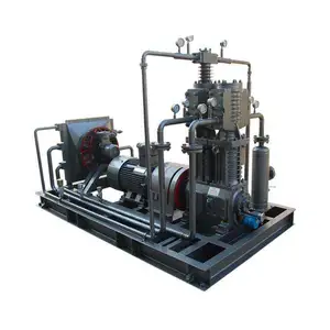 Industrial Biogas Compressor Diaphragm Biogas Compression Machine with Cylinder for Storage