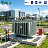 Yağlı Tip Direk Üzeri Montajlı Trafo 25kVA - 50MVA Üç Fazlı Yer Tipi Yükseltici/Alçaltıcı Dış Mekan Enerji Tesisi İçin
