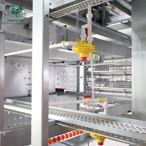 Gabbie per Galline Ovaiole ad Alta Efficienza, Sistemi Automatici Multi-Livello per Aviari Senza Gabbie per un Migliore Benessere Animale - Product Image 6