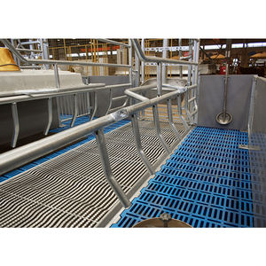 Corrales de Maternidad para Cerdas, Jaulas de Parto, Casetas, Jaula de Parto para Cerdas y Lechones - Product Image 6