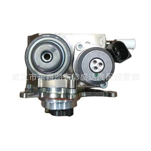 ปั๊มน้ำมันแรงดันสูง1920LL 9819938480สำหรับ Citroen Peugeot 1.6T ในการส่ง - Product Image 3