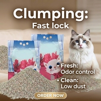 Pasir Kucing Bentonit Partikel Kecil OEM, Daya Gumpal Kuat, Rendah Debu, Penghilang Bau Cepat, Pengontrol Bau, Aman untuk Kucing Sensitif di Dalam Ruangan
