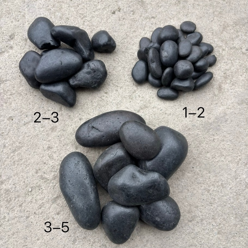 Pepito noir