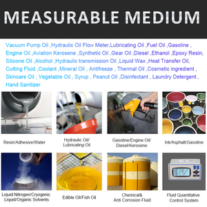 <strong>CX</strong>-M2.1-AL High Viscosity Oval Gear <strong>Flow</strong> <strong>Meter</strong> for Lubricating Oil, Heavy Oil, Fuel Oil, Resin, Syrup, Shampoo, Alcohol, Asphalt - Product Image 4