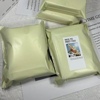 Nouveaux Sacs d'expédition en polyéthylène 2025 pour Courrier et Colis, Sacs Postaux Express à Adhésif Fort pour Vêtements