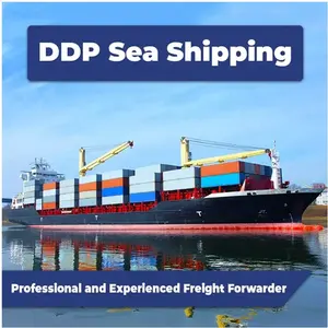 International shipping DDP Sea Freight Forwarder Door to Door Delivery China to USA Canada Shipping Agent