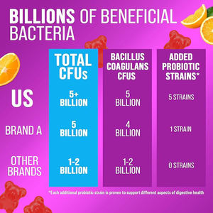 Suppléments de soins de santé Gommes probiotiques Santé digestive Gut Health Candy Vitamin Gummy - Product Image 6
