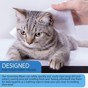 <span class=keywords><strong>Lingettes</strong></span> jetables pour animaux domestiques <span class=keywords><strong>lingettes</strong></span> nettoyantes bio pour chien chat oreille propre toilettage chien <span class=keywords><strong>lingettes</strong></span> humides OEM Shanghai nettoyage 15*18cm - Product Image 5