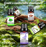 Diffuseur d'huiles essentielles ODM OEM - Huile d'aromathérapie pure naturelle à 100% d'extrait d'orange douce, qualité thérapeutique, 10 ml * 8