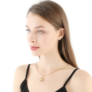 Collar con colgante de acero inoxidable para mujer, 12 signos del horóscopo del zodiaco, <span class=keywords><strong>Aries</strong></span> Leo, joyería de 12 Zoidacs - Product Image 5