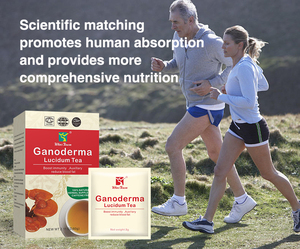 GMP Factory Winstown Ganoderma Reishi <b>Tea</b> Herbal Ganoderma Extract Boost Immunity Supplements Pure Herbs Ganoderma Lucidum <b>Tea</b> - Product Image 5
