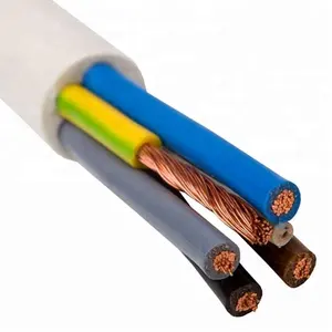 Câble flexible 450/750V en cuivre 3 noyaux 4 noyaux CU/PVC/PVC TTR