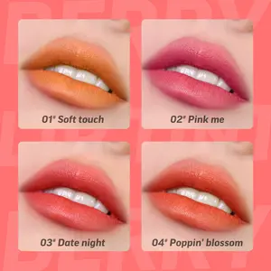 Tinte de labios de gelatina de larga duración con sabor a fruta vegana OEM, tinte de etiqueta privada, sombra de ojos, brillo de labios, tinte de mejilla facial