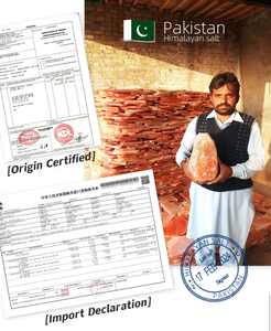 Grande lampe <span class=keywords><strong>de</strong></span> table en <span class=keywords><strong>sel</strong></span> rose <span class=keywords><strong>de</strong></span> l'Himalaya sculpté, écologique, authentique et naturel - Product Image 4