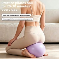 Balón de Yoga de PVC de 25 cm para Adultos, Ejercicios de Suelo Pélvico, Hipertensión, Postparto, Pilates, Inflable, Antiexplosión, Duradero