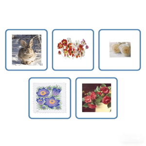 Scènes <span class=keywords><strong>de</strong></span> neige 2020, fleurs d'hortensia 2017, <span class=keywords><strong>timbres</strong></span> éternels, États-Unis, 5 feuilles <span class=keywords><strong>de</strong></span> 100 autocollants, adaptés aux enveloppes - Product Image 1