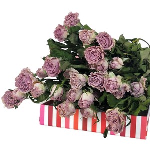 Commercio all'ingrosso più testa a secco di Rose naturali su misura <span class=keywords><strong>Mini</strong></span> mazzo di Rose secche naturali con gambo - Product Image 4