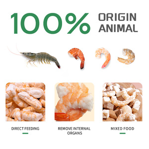 <span class=keywords><strong>Crevettes</strong></span> Vannamei lyophilisées de haute qualité Amérique du Sud Snack aux fruits de mer Friandises lyophilisées pour chiens Penaeus <span class=keywords><strong>Crevettes</strong></span> et <span class=keywords><strong>crevettes</strong></span> - Product Image 6