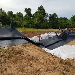 0.5mm मोटाई के निर्यातक के लिए geomembrane तालाब लाइनर आपूर्तिकर्ता उच्च गुणवत्ता एचडीपीई geomembrane तालाब लाइनर के रोल