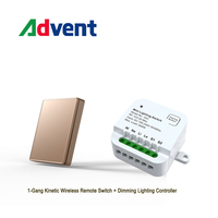 Interruptor de Pared Inalámbrico con Regulador de Luz 10A RF433, Sin Necesidad de Batería, Autoalimentado, IP44, Compatible con Smart Life/App