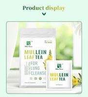 Tisane botanique aux fleurs de molène Wins Town, emballée individuellement, thé végétal naturel, vente en gros et OEM