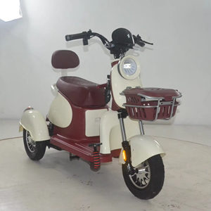 Vélo électrique à <span class=keywords><strong>3</strong></span> <span class=keywords><strong>roues</strong></span> écologique, modèle 2026, très demandé |   Frein à tambour avant et arrière |   OEM ODM disponible pour la vente en gros - Product Image 5