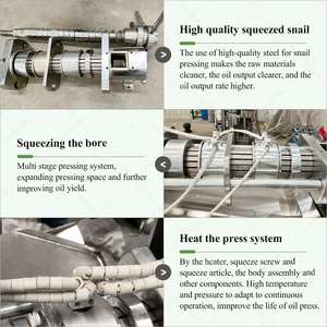 <span class=keywords><strong>Moulin</strong></span> à <span class=keywords><strong>huile</strong></span> <span class=keywords><strong>d</strong></span>'<span class=keywords><strong>olive</strong></span> <span class=keywords><strong>de</strong></span> graine <span class=keywords><strong>de</strong></span> tournesol <span class=keywords><strong>de</strong></span> moutarde à vendre - Product Image 5