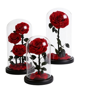 Rose éternelle sous cloche en verre, plusieurs tailles, cadeau pour la Saint-Valentin, Noë<span class=keywords><strong>l</strong></span>, décoration d'intérieur, ornement, directement <span class=keywords><strong>de</strong></span> <span class=keywords><strong>l</strong></span>'usine - Product Image 1