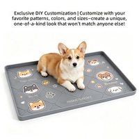 Tapis en silicone BPlus pour animaux de compagnie, adapté aux seniors, avec rebord doux pour franchir facilement et accès facile aux bols, pour chiens et chats âgés, pour la mobilité des articulations raides et le soin des articulations.