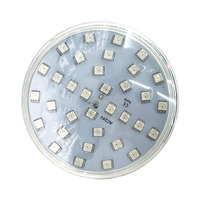 Projecteur LED RGBW automatique 100 mm pour extérieur, indice de protection IP65, pour carnaval, fête foraine, manèges de parc d'attractions, éclairage de spectacle, lampe PC