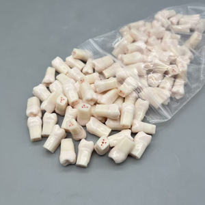 Зубной белый зубной манекен с пластиковой смолой Материал для студентов для практики миелотомии корневого канала - Product Image 4