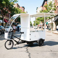 Vélo de livraison électrique à pneus larges, semi-camion, 3 roues, à pédales motorisées, triporteur cargo
