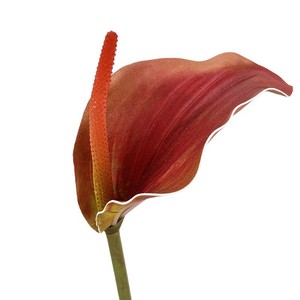Flores de palma artificiales EVA Lumina para decoración de bodas, decoración del hogar, fábrica de flores artesanales - Product Image 5
