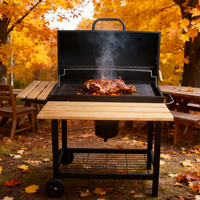 Barbecue rotatif, barbecue d'extérieur, cuisine de barbecue portable, accessoire de barbecue, barbecue au charbon de bois, barbecue à gaz, parrilla argentine