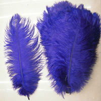 Plumes d'autruche multicolores teintées de 35-40 cm pour la décoration de fêtes, carnavals, bricolage, scènes et centres de table