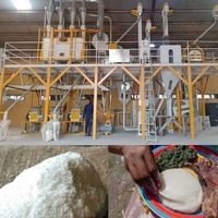 Mesin Penggiling Jagung 20-30TPD Pabrik Penggilingan Lengkap untuk Lini Pengolahan Jagung Super & Sarapan untuk Afrika