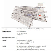 Cage automatique pour poules pondeuses de type H, pour élevage avicole de 5000 poulets, en Zimbabwe, à vendre