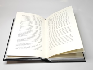 Impression <span class=keywords><strong>de</strong></span> livres reliés personnalisés <span class=keywords><strong>de</strong></span> style fantastique avec couverture gaufrée, papier couché pour éditions d'art <span class=keywords><strong>de</strong></span> collection <span class=keywords><strong>de</strong></span> romans, impression offset - Product Image 5