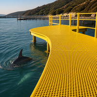 Grille de pont en fibre de verre pour l'observation des dauphins, 25 mm, en PRV, résistante à la brume salée, panneau d'observation personnalisé