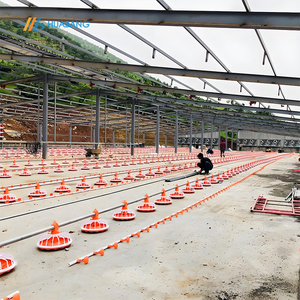 Gia cầm tự động chăn nuôi thiết bị xúc xích cho ăn hệ thống uống cho Gà Thịt - Product Image 1