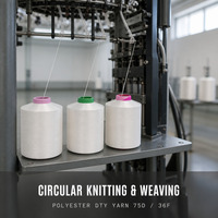 Filament de polyester recyclé de qualité supérieure personnalisé, fil DTY 75D 36F, écologique, antistatique, utilisé pour le tricotage